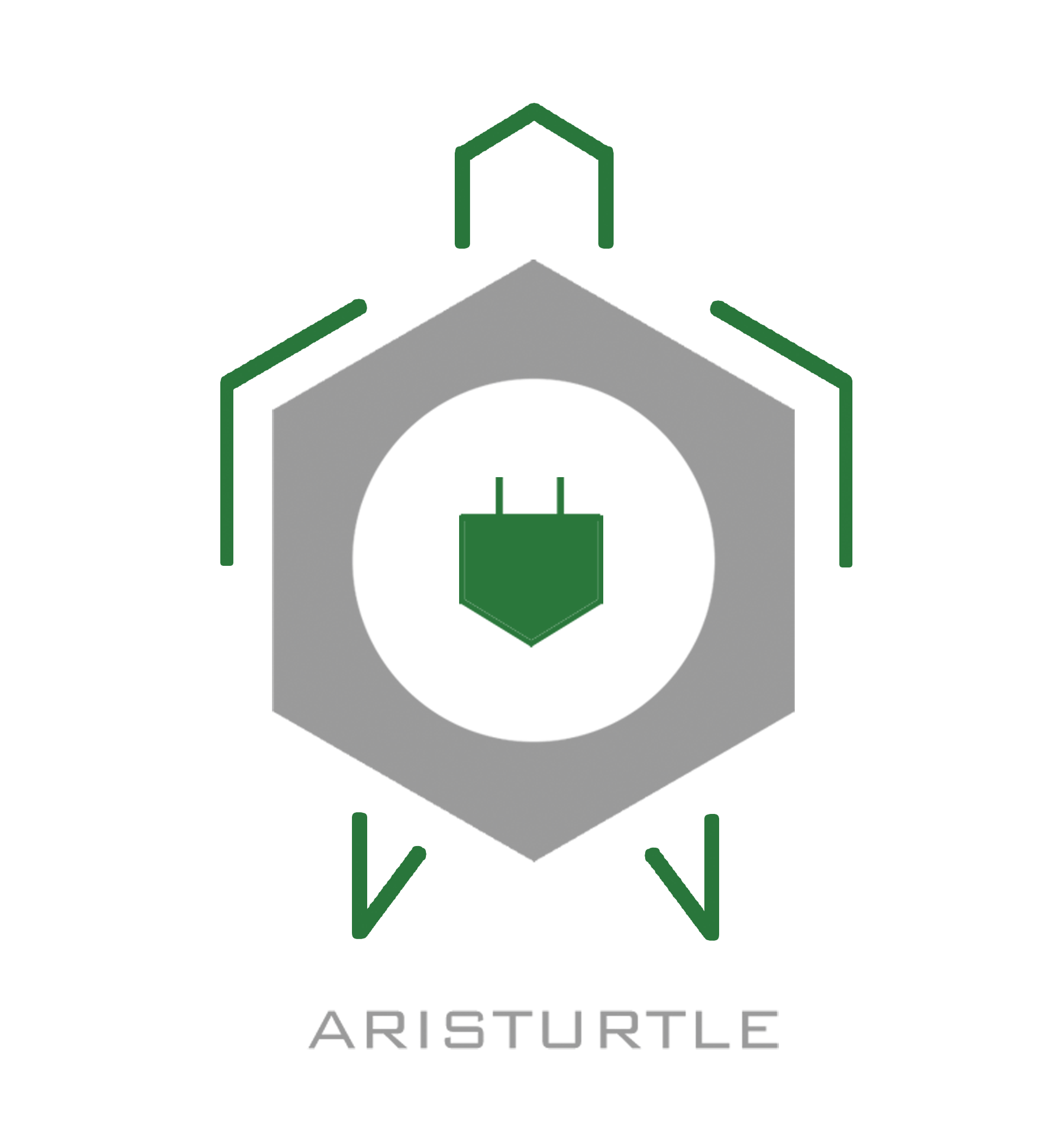 Aristurtle